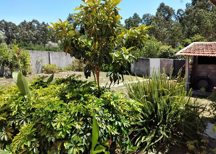 Hébergement de vacances Casa Julia Fonte Errada